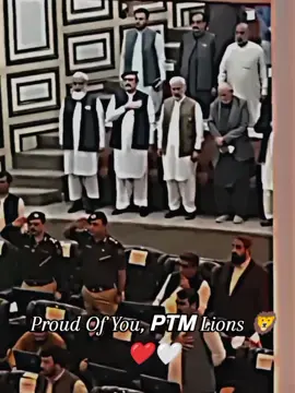 Proud Of You, 𝗣𝗧𝗠 Lions 🦁❤🤍 .  #hanifpashteen  #norullahtareen  #pashto  #ptm 