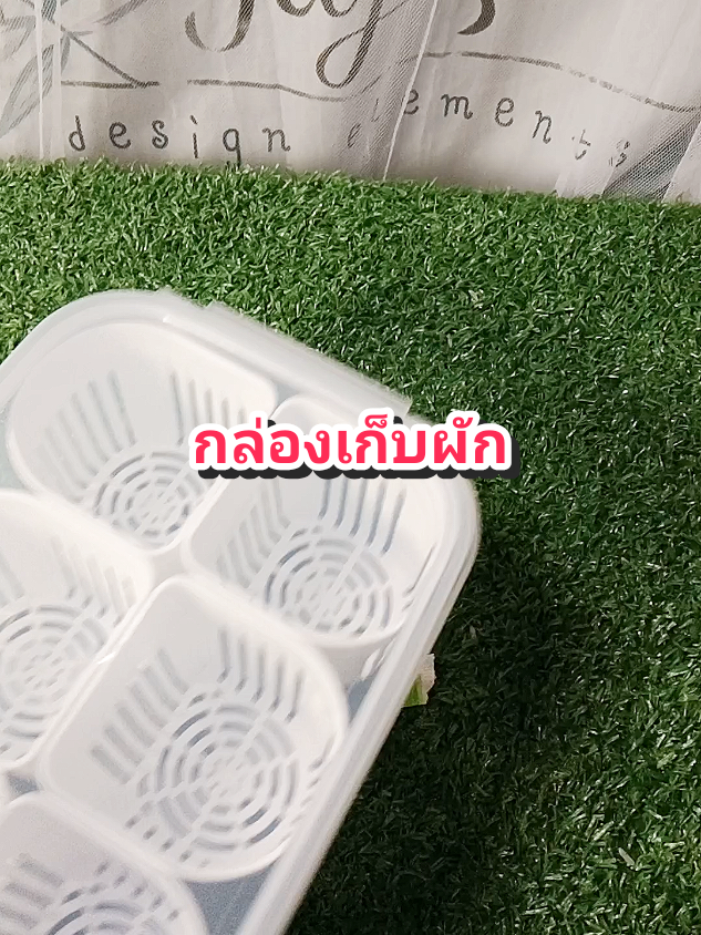กล่องเก็บผัก#ของใช้ในครัว #กล่องเก็บผัก #กล่องเก็บอาหาร #กล่องเก็บอาหารในตู้เย็น 
