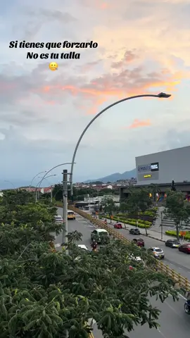 Para hacerte sincero  Tu regreso no es bueno  #cali #salsa #atardeceres🌅 #jumbo #salsaparaestados 