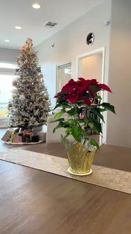 girly christmas tree 🎀🎄🏹🩷✨ #girly #christmas #christmastree #aesthetic #pinkmas 