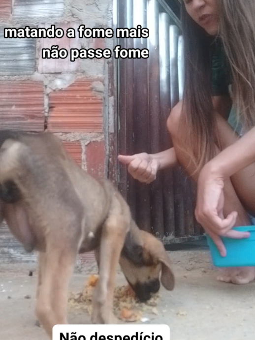 mate quem tá matando 