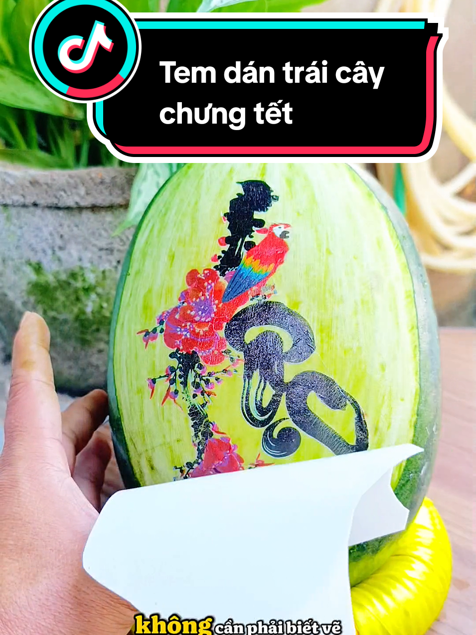 Tem dán trái cây chưng tết không lem không ở bay màu . #tem #temdan #temdantraicay #giadung #dinhhieu1087 