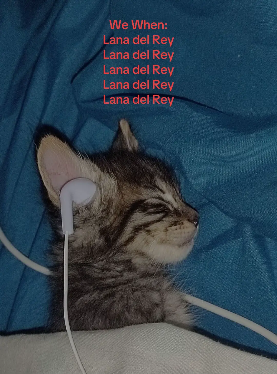 Lana Forever #lanadelrey #fly #flypシ #lanadelreyedit 