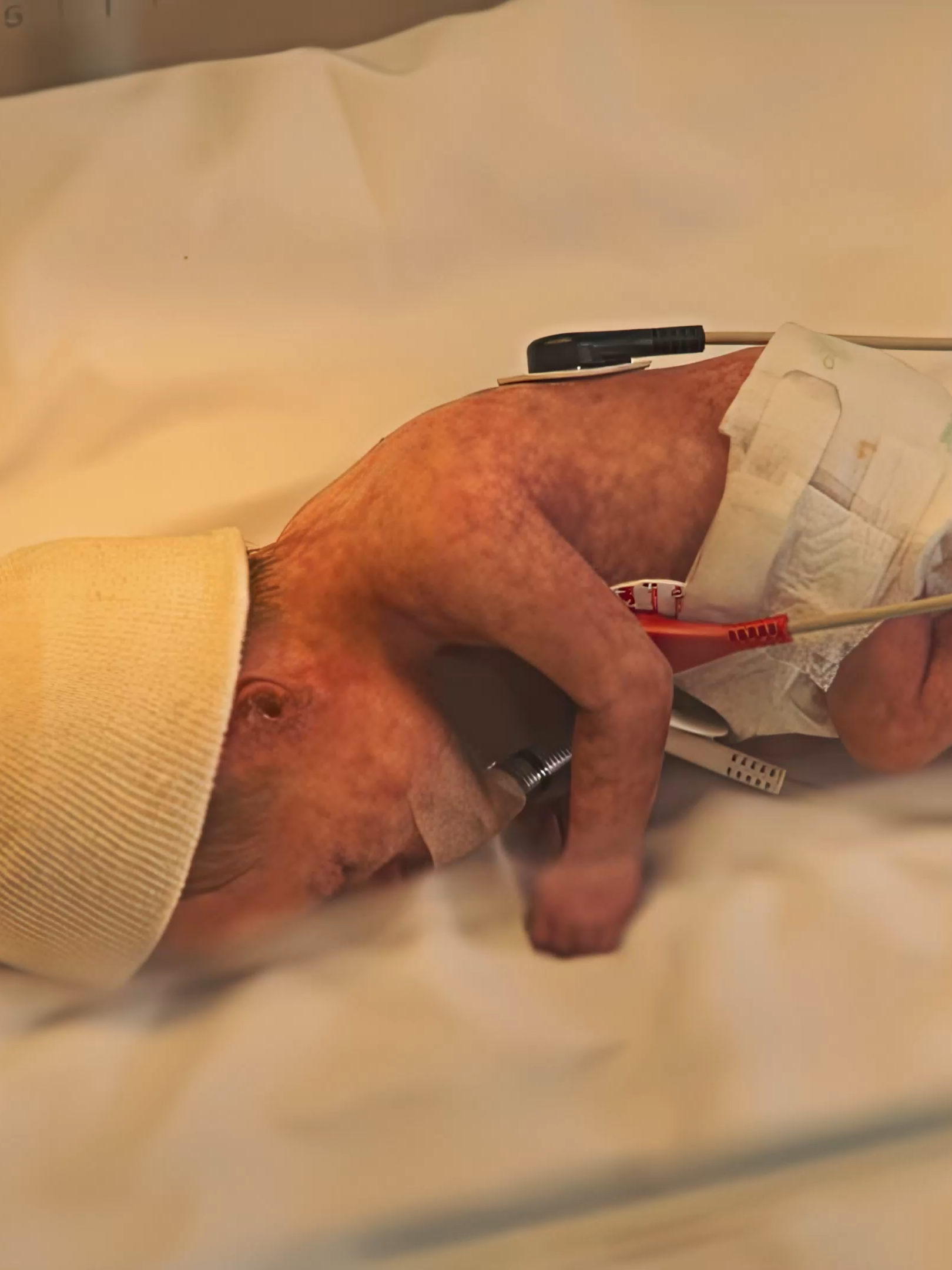 #映画紹介 #映画 #映画鑑賞 #tv #movie #fyppppppppppppppppppppppp