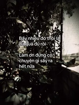 Bấy nhiêu đó thôi là đã quá đủ rồi Làm ơn đừng có chuyện gì sẩy ra hết nữa #xuhuongtiktok #flop #fyp #chauphuan 