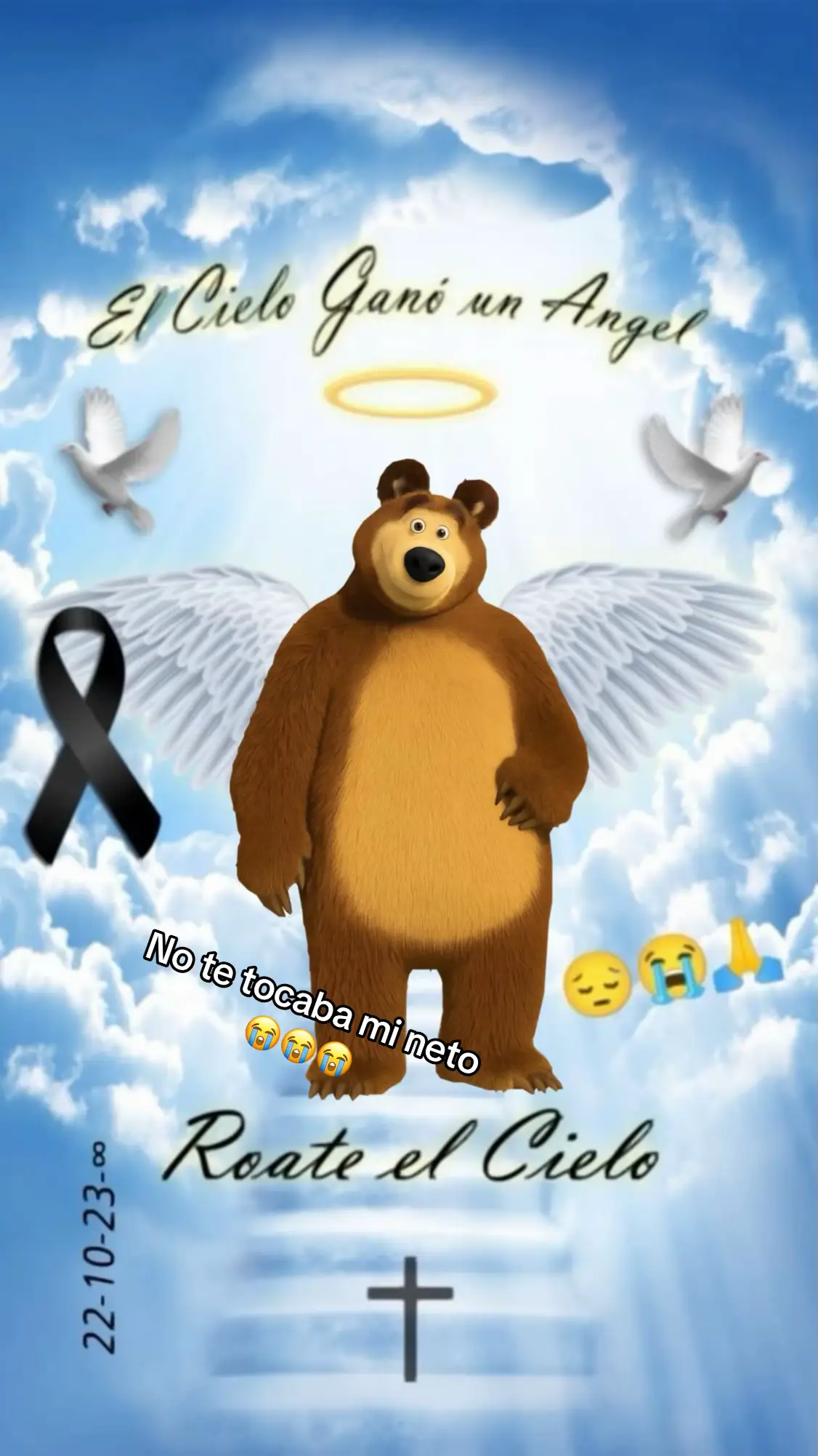 No te tocaba neto 🥺#mashayeloso #sefueunangelito #parati #tiktokviral #xybca 