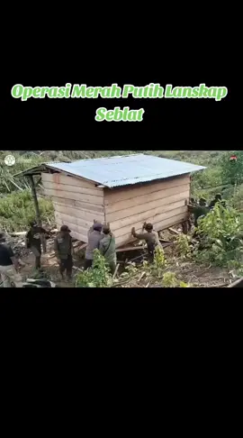 OPERASI GABUNGAN HABITAT GAJAH SEBLAT Kementerian Kehutanan melalui Ditjen Gakkum Kehutanan dan tim gabungan dari Balai Gakkum Kehutanan Wilayah Sumatera, Balai Besar Taman Nasional Kerinci Seblat (TNKS), BKSDA Bengkulu, serta Dinas LHK Provinsi Bengkulu/KPH Bengkulu Utara terus melaksanakan operasi lanjutan di Bentang Alam Seblat untuk menghentikan perambahan dan mengamankan habitat Gajah Sumatera. - 28 Pondok dibongkar - 4.000 ha hutan dikuasai kembali - 2.100 ha sawit dibongkar - 8 Pelaku Perambahan dan 1 pemilik lahan ditetapkan sebagai tersangkat.  Pemerintah tidak akan memberi ruang bagi praktik perambahan di kawasan konservasi dan hutan negara. #kemenhut   #gakkumkehutanan   #savegajahseblat  #bengkulu  #gajahseblat 