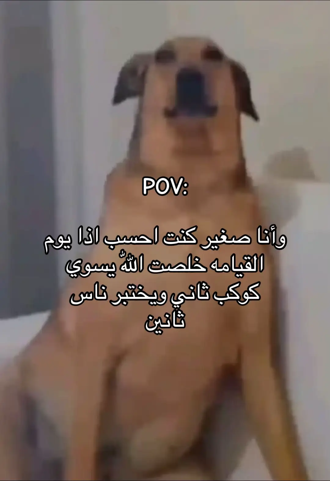 #fyp #foryou #يوم_القيامة #Meme 