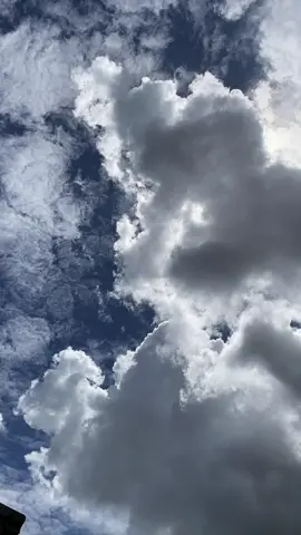 🅿️ #stroy26 #4u #mentahanvideo 