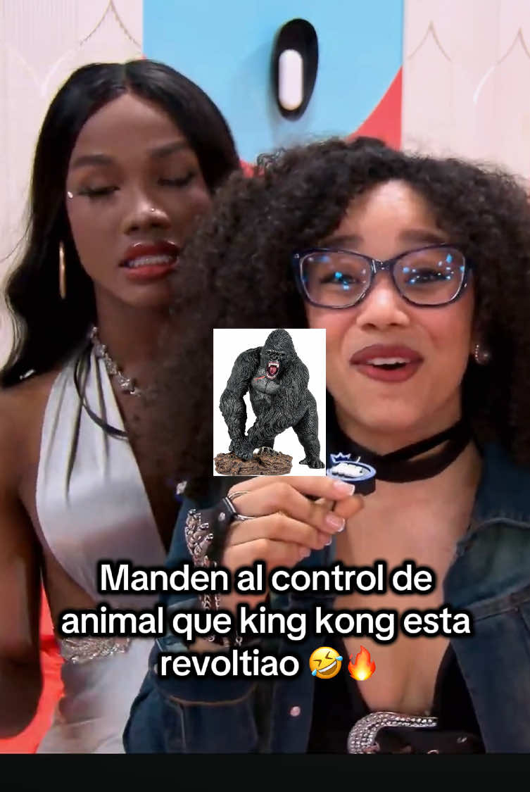 #chedygarcia llama control de animales que tu hija #chelsybautista está en peligro en #lamansiondeluinny 