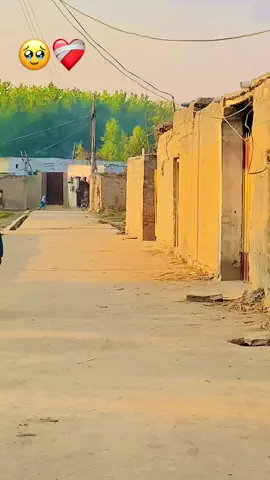 #faypu #fypシ゚ #100video 