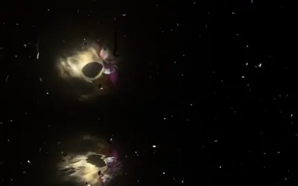 #osoymashaparasiempre🥹 #osodemasha🐻 #falleció😭💔🕊 #😓😞💔 #comentasieresfansdemashayeso 💔🥀😓😓