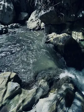 “ Trót yêu nhau từ thời mộng mơ ❤️‍🩹🫀”#nguyenkhang🖤📎 #tamtrang #cap #tinhyeu #xuhuong 