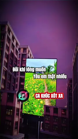 Đôi khi lòng muốn yêu em thật nhiều...  #nhachaymoingay🎧  #nhacnaychillphet  #nhacchutinh #xuhuong2025  #minhtruong64🇻🇳 