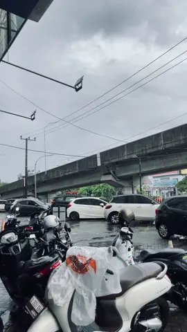 #makassar #pettaranimakassar #fyp 