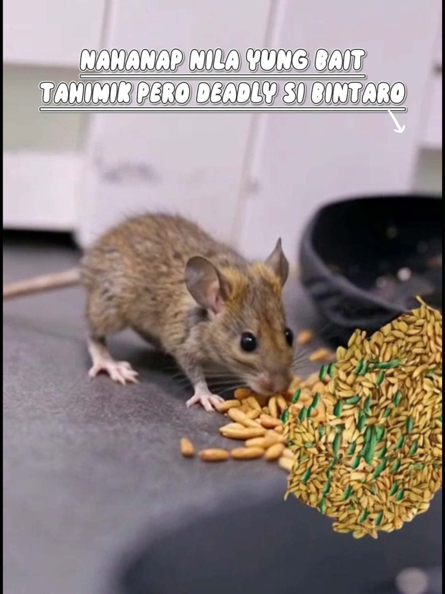 Anong nangyayari talaga pag nakita ng daga yung bait sa gabi”  #BintaroNightTest 🌙 #ratbait 🐭 #ratfreehome 🏠 #pestcontrolph 💚 #silentkiller ⚡ #farmtok 🇵🇭 #cleanhomelife ✨