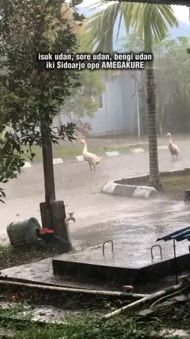 suwe² isok sinra tensei iki wkwk #amegakure #pain #akatsuki 