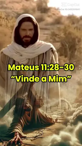 Mateus 11:28-30 #Gospel #Jesus#evangelho 