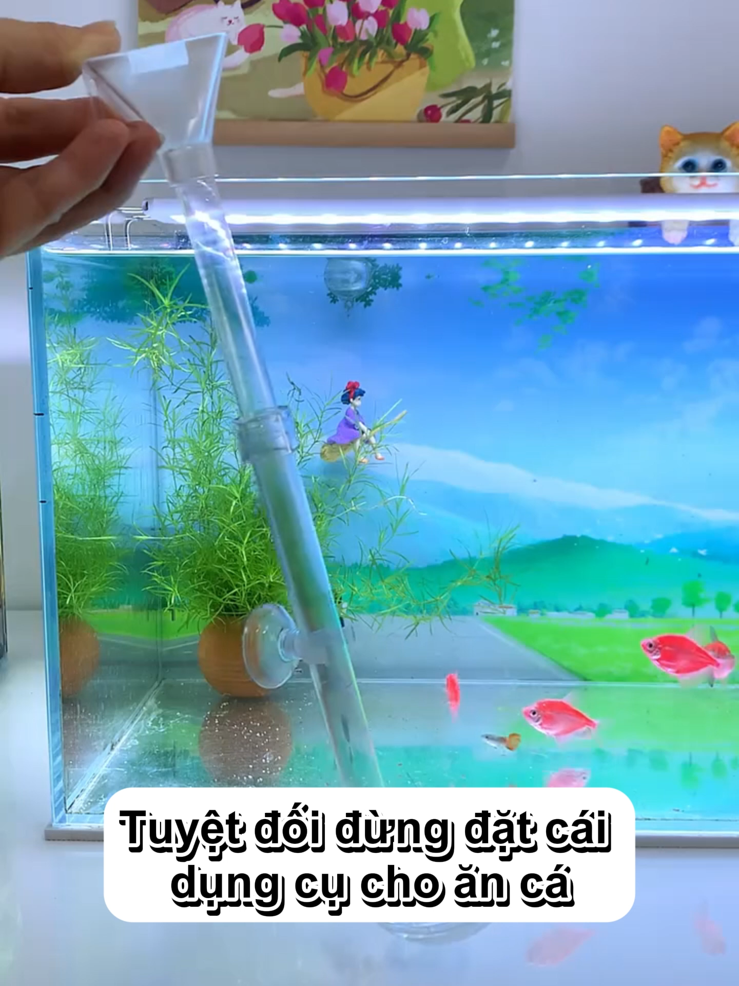 Đừng dại đặt vào 🤣 #becadep #aquarium #aquariumfish #xuhuong #trending #fish #becathuysinh #cacanh #thuysinh #cacanhdep #Anthuyvien #meonuoica