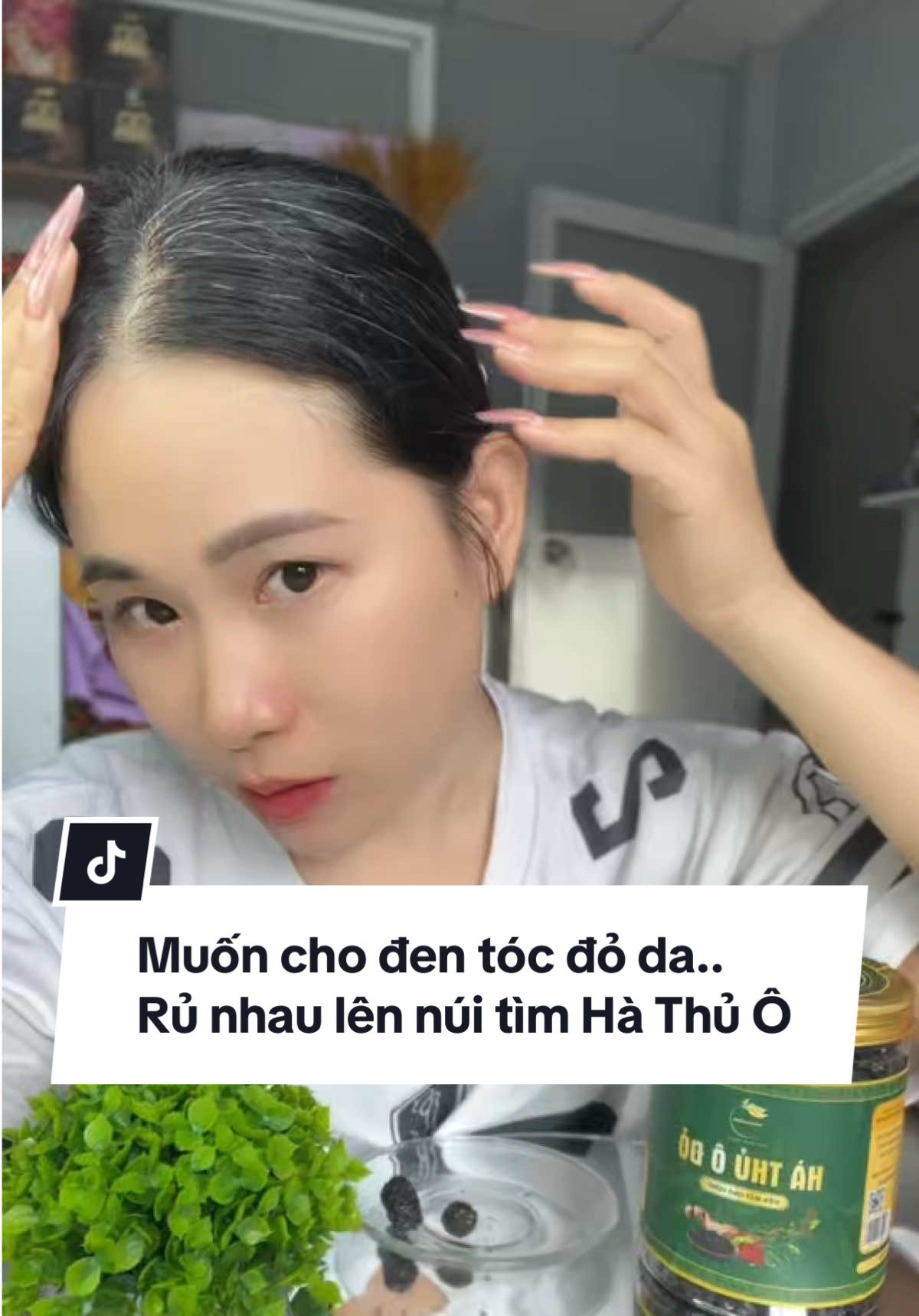 Hà Thủ Ô Đỏ mật.ong vừng đen đã được vo thành từng viên..tiện lợi..dễ ăn lắm mấy chị...#phùngkimchuyền #hathuo #thukagarden #hathuodo #tóc 