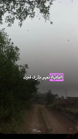 #اكسبلوررر #اكسبلور_تيك_توك 