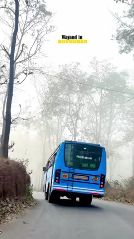 വയനാട്ടിലെ പ്രഭാതം 🎼🎶☘️🍃❤️