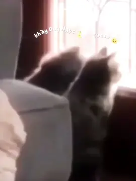 gửi chút năng lượng dễ thương của tiệm chè 🤟🏻 #buiduyngoc #khoivu #ngocvu #xh 