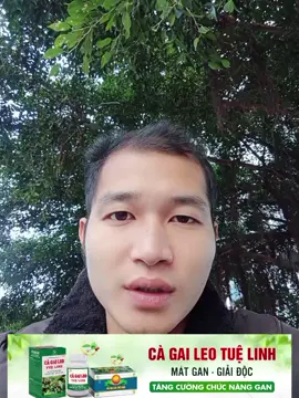 Thế nào là cà gai leo chất lượng?  #gantuelinh #giaidocgantuelinh #giaidocgantuelinhplus #viemgan #benhgan 