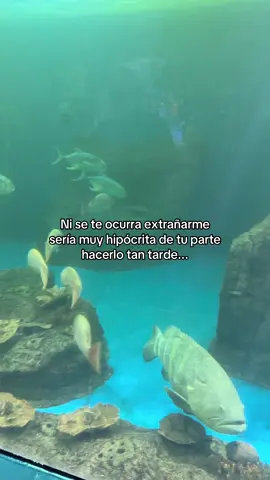 #fyp #amor #contenido #fypシ゚ #maz #greenscreen #parati #gdl 