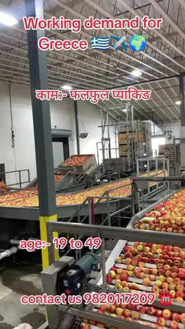 #working #visa #fyb #trending #creatorsearchinsights 