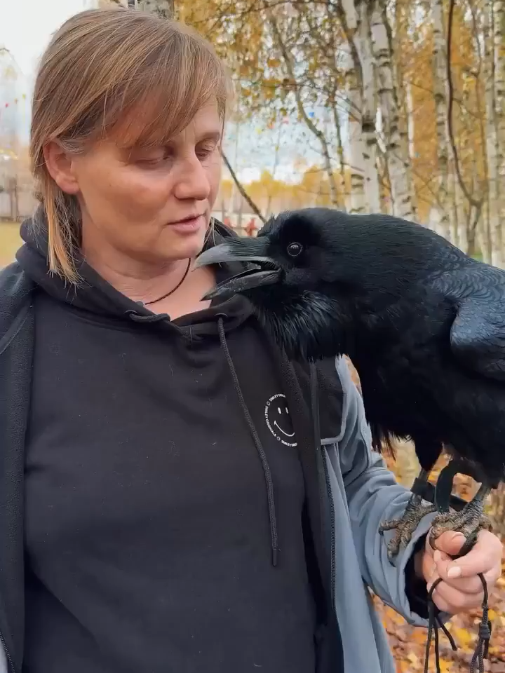 Hearing a raven speak Russian is one of the most terifying things I've ever heard