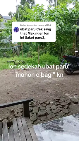 Membalas @cemara1194 