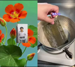 #duet with @ダシの人@みたもっちゃんねるのだいち #料理 