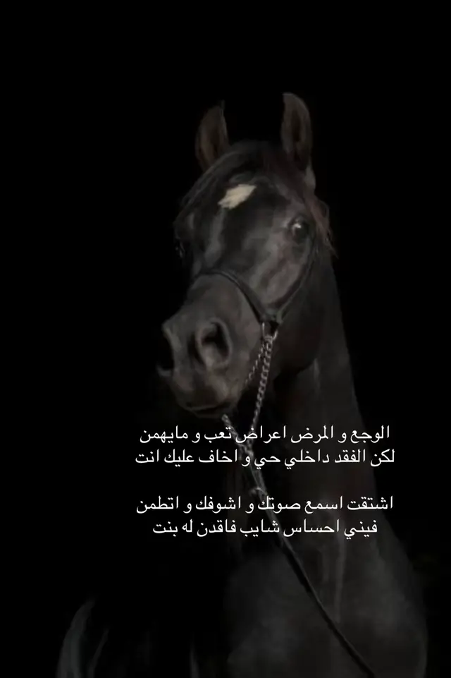 #الخبر #الخبر_الدمام #اكسبلورexplore #مالي_خلق_احط_هاشتاقات🦦 