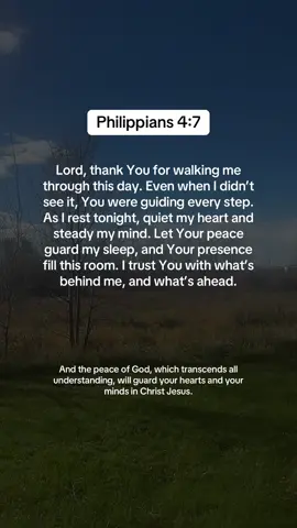 Before you sleep tonight, release the weight of the day. God’s peace is stronger than anything that tried to steal your rest. Type “Amen” if you’re trusting God with your night.  #NightPrayer #FaithBeforeSleep #ChristianEncouragement #ChristianTikTok #creatorsearchinsights 