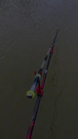 Sao cái cần này nó trắng với tròn thế nhì #câucagiaitri #câucá #fishing #câu #hoangmeofishing 