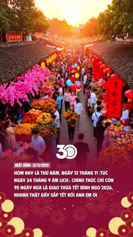 95 ngày nữa thôi #tetsumvay #dontet2026 #taphoa30giay #tet2026 #tet 