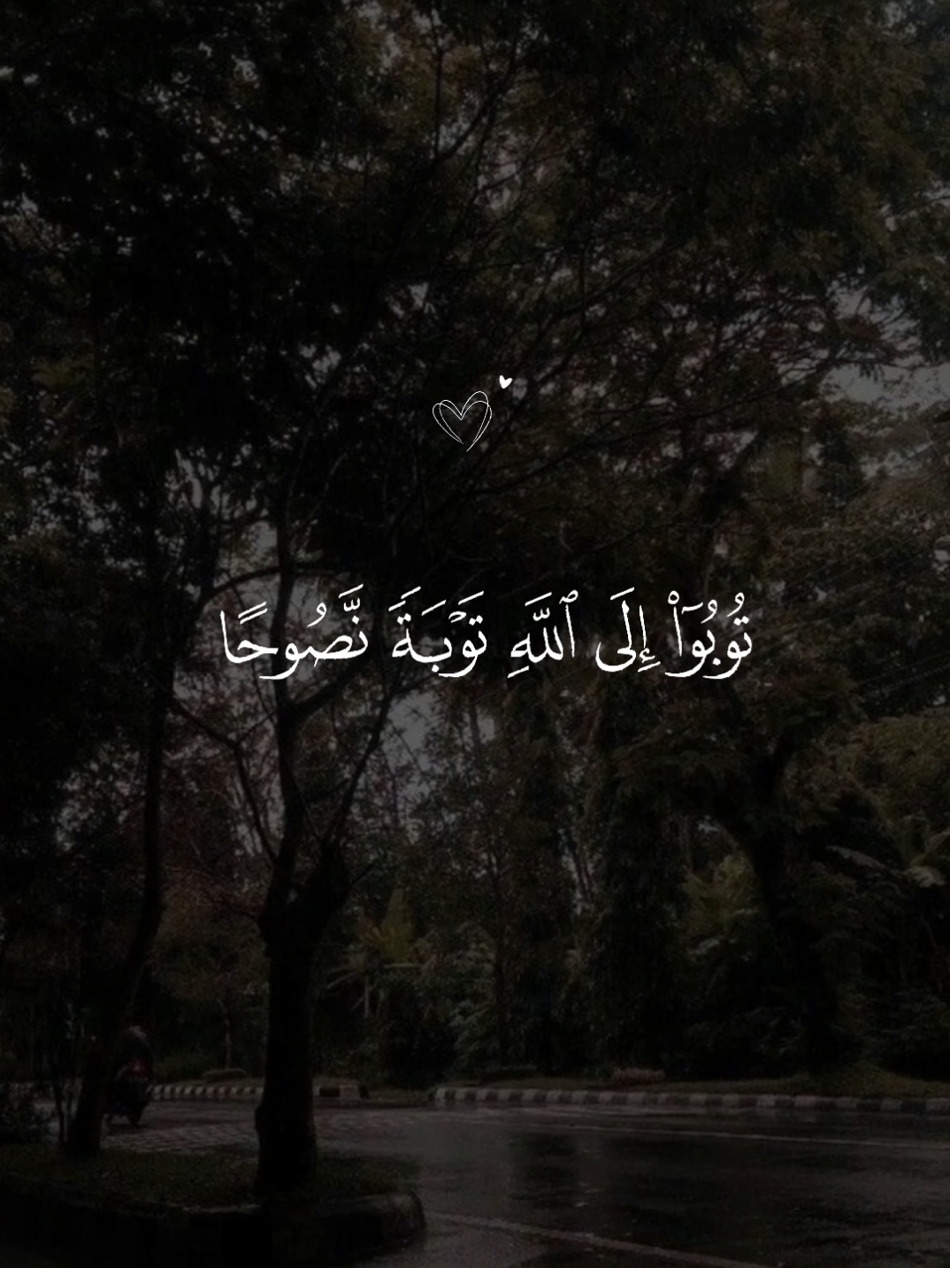 #ماهرالمعيقلي #قران_كريم 