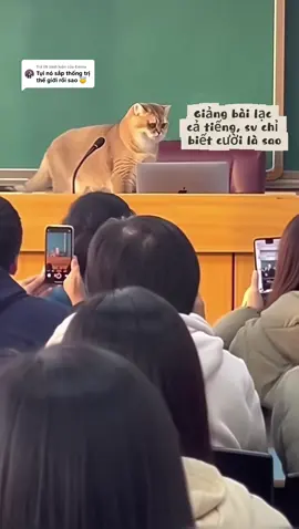 Trả lời @Emma thống trị sang tập 2 rồi sen 😂 #catsoftiktok #xuhuong #fyp 