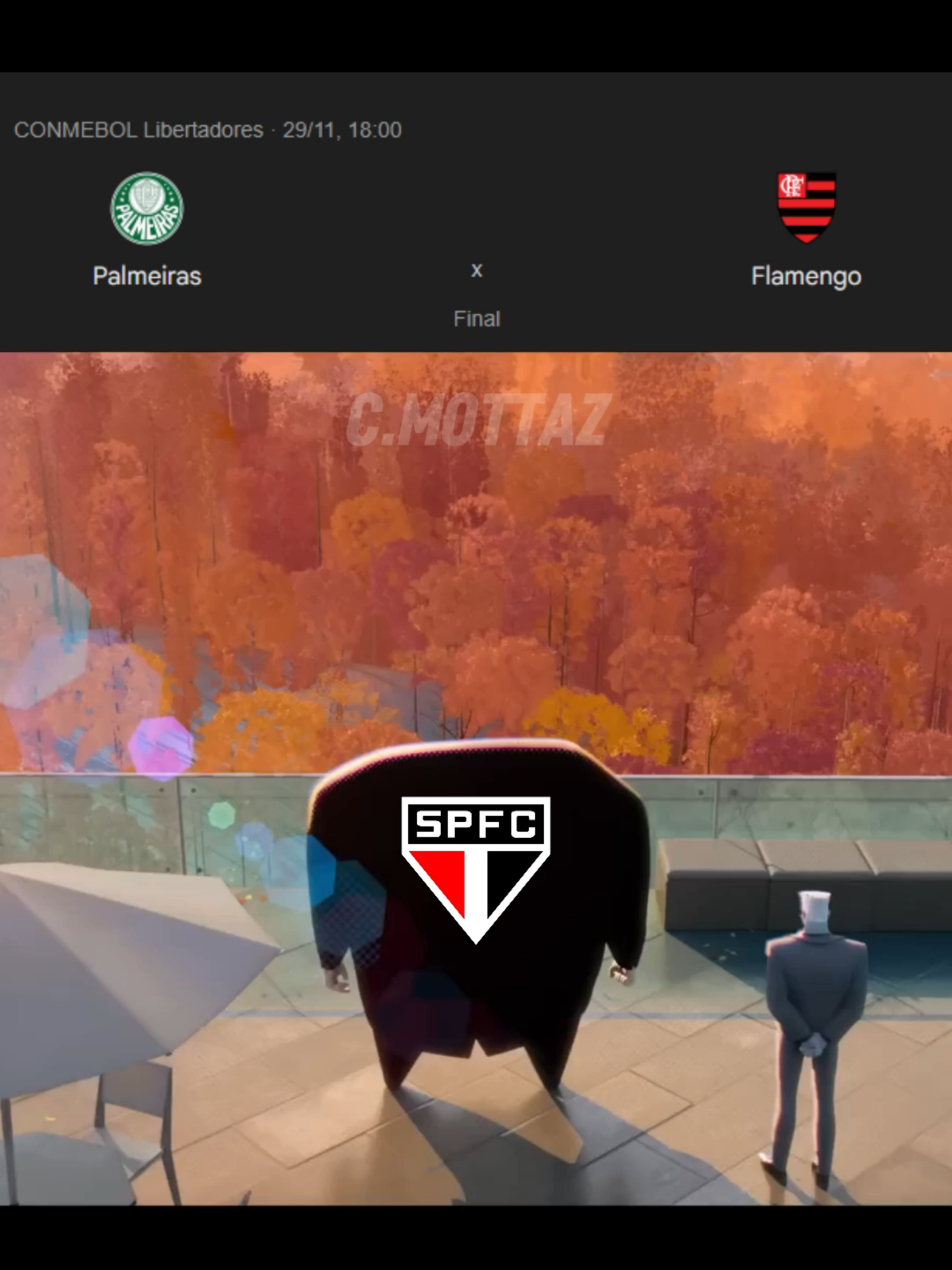 Só 1 no Brasil será tetra #flamengo #palmeiras #libertadores