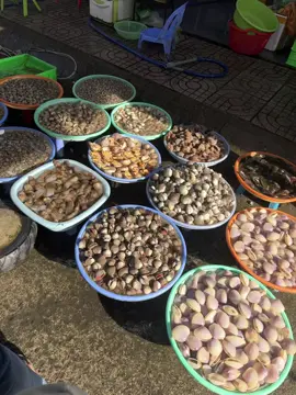 Chợ xóm lưới- chợ hải sản k thể bỏ lỡ khi bạn đến vũng tàu nha, nhiêu đây tụi mình mua chưa hết 500k bao gồm cả nước🫠🫠 #chợxómlưới  #chợhảisản #vũngtàu 