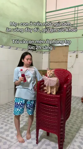 Ai nói t khùm thì t chịu chứ t stress quá gòiiiiii #cothonnudandatencam #xuhuongtiktok #meo #nhay 