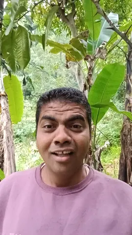 #creatorsearchinsights #tiktoknepal #tiktokviral #viralvideo #foryoupage ..start day with salad 🥗 with vegetables 🍆🍆