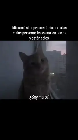 Sólo una pregunta ❔  Soy malo ❓🥺🫩