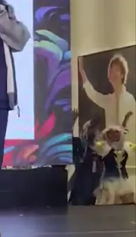 Hậu trường bất ổn #neuvilette #furina #meme 