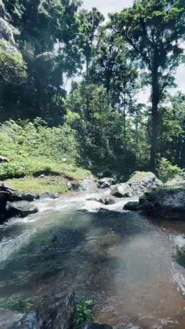 Air terjun terkeren menurutku🥺🤍#fyppppppppppppppppppppppp #trendingvideo #fypage #airterjunproposoan 