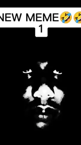 #1 #niche #new #meme 