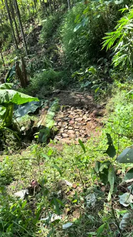 Chim với cò đi làm cty thôi 🐦‍⬛