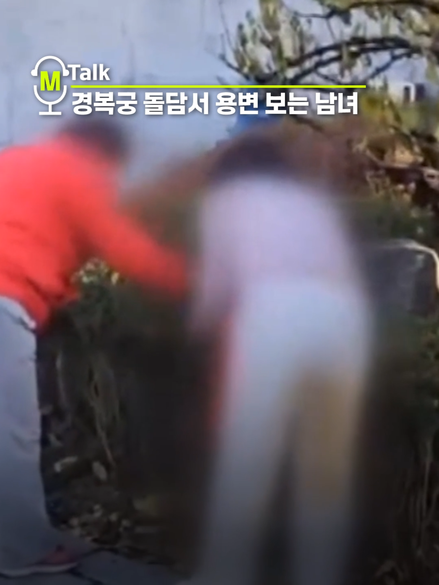 경복궁 돌담서 용변 보는 남녀, 정체가? #경복궁돌담 #중국인 #관광객 #용변테러 #틱톡뉴스 #엠비엔뉴스 #MBNNEWS