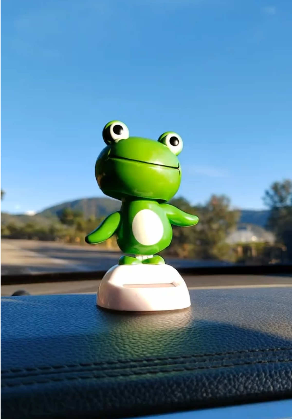 Mô Hình Ếch Nhẩy Múa Ở Giỏ Hàng#shorts #luxurycars #supercars #carslover #xedep #ford 